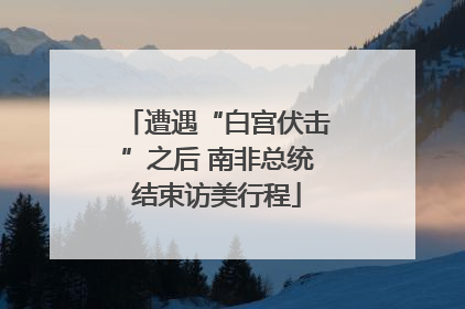 遭遇“白宫伏击”之后 南非总统结束访美行程