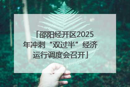 邵阳经开区2025年冲刺“双过半”经济运行调度会召开