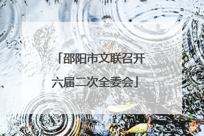 邵阳市文联召开六届二次全委会