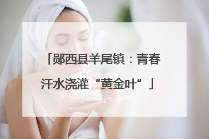 郧西县羊尾镇：青春汗水浇灌“黄金叶”