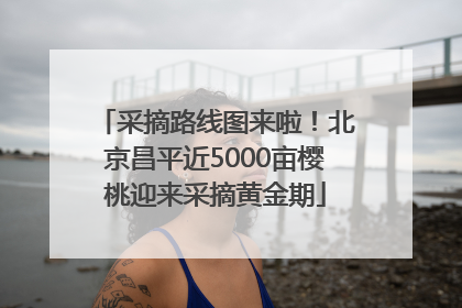 采摘路线图来啦！北京昌平近5000亩樱桃迎来采摘黄金期
