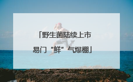 野生菌陆续上市 易门“鲜”气爆棚