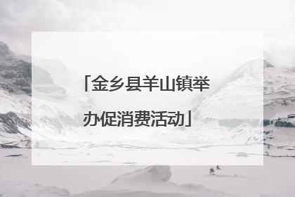 金乡县羊山镇举办促消费活动