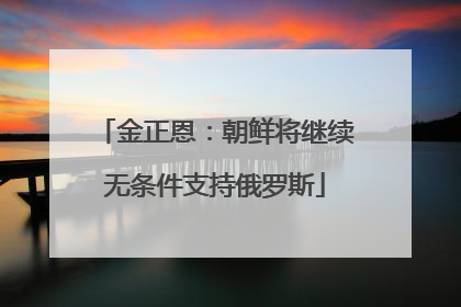 金正恩：朝鲜将继续无条件支持俄罗斯