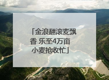 金浪翻滚麦飘香 乐至4万亩小麦抢收忙