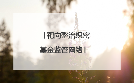 靶向整治织密基金监管网络