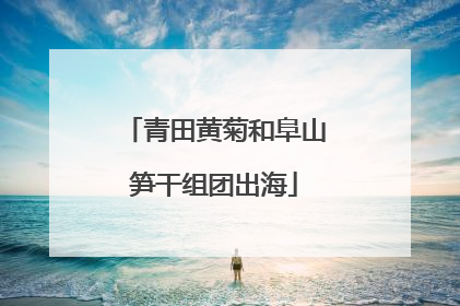 青田黄菊和阜山笋干组团出海
