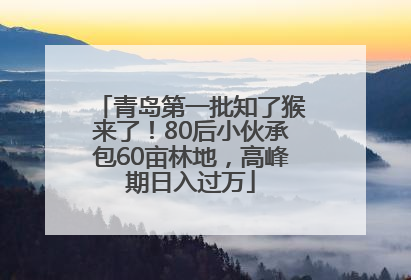 青岛第一批知了猴来了！80后小伙承包60亩林地，高峰期日入过万