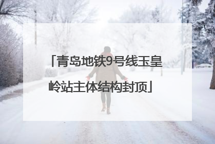 青岛地铁9号线玉皇岭站主体结构封顶
