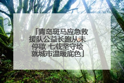 青岛斑马应急救援队公益长跑从未停歇 七载坚守绘就城市温暖底色