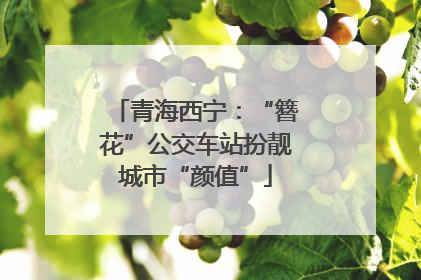 青海西宁：“簪花”公交车站扮靓城市“颜值”
