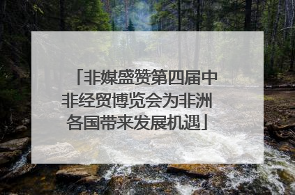 非媒盛赞第四届中非经贸博览会为非洲各国带来发展机遇