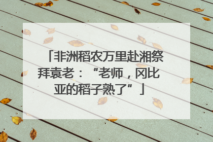 非洲稻农万里赴湘祭拜袁老：“老师，冈比亚的稻子熟了”