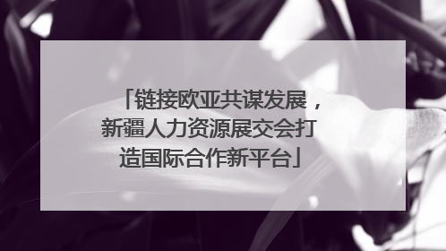 链接欧亚共谋发展，新疆人力资源展交会打造国际合作新平台