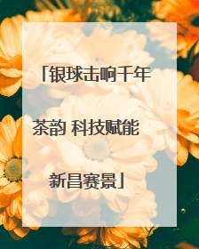 银球击响千年茶韵 科技赋能新昌赛景