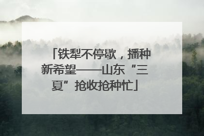 铁犁不停歇，播种新希望——山东“三夏”抢收抢种忙