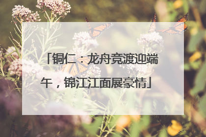 铜仁：龙舟竞渡迎端午，锦江江面展豪情