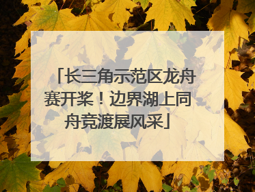 长三角示范区龙舟赛开桨！边界湖上同舟竞渡展风采