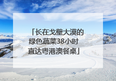 长在戈壁大漠的绿色蔬菜38小时直达粤港澳餐桌