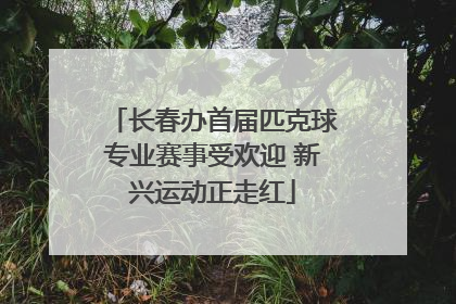长春办首届匹克球专业赛事受欢迎 新兴运动正走红