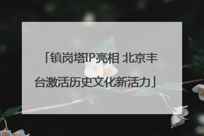 镇岗塔IP亮相 北京丰台激活历史文化新活力