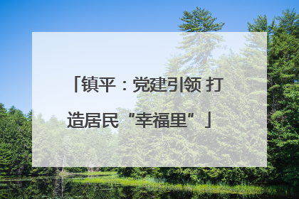 镇平：党建引领 打造居民“幸福里”