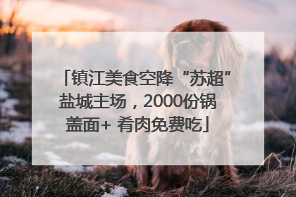 镇江美食空降“苏超”盐城主场，2000份锅盖面+ 肴肉免费吃