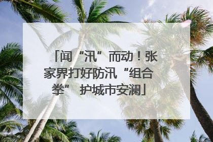 闻“汛”而动！张家界打好防汛“组合拳” 护城市安澜