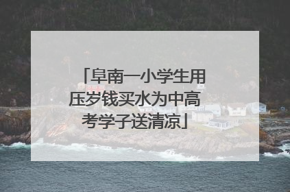 阜南一小学生用压岁钱买水为中高考学子送清凉
