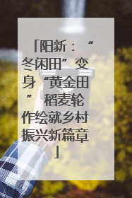 阳新：“冬闲田”变身“黄金田” 稻麦轮作绘就乡村振兴新篇章