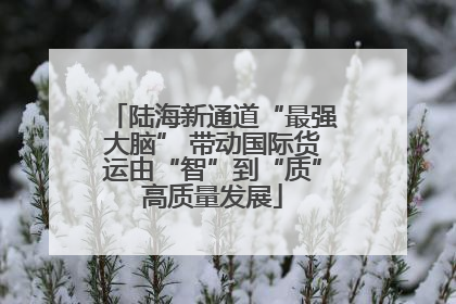 陆海新通道“最强大脑” 带动国际货运由“智”到“质”高质量发展
