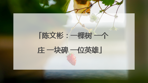 陈文彬：一棵树 一个庄 一块碑 一位英雄