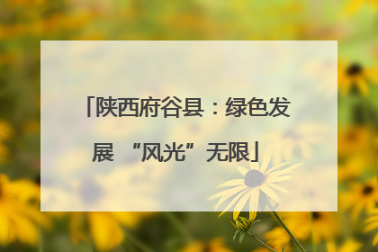 陕西府谷县：绿色发展 “风光”无限