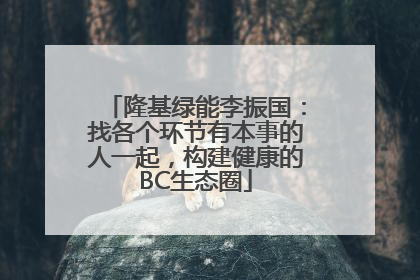 隆基绿能李振国：找各个环节有本事的人一起，构建健康的BC生态圈