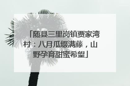 随县三里岗镇贾家湾村：八月瓜缀满藤，山野孕育甜蜜希望