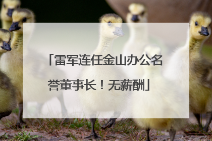 雷军连任金山办公名誉董事长！无薪酬