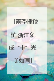 雨季插秧忙 浙江文成“丰”光美如画