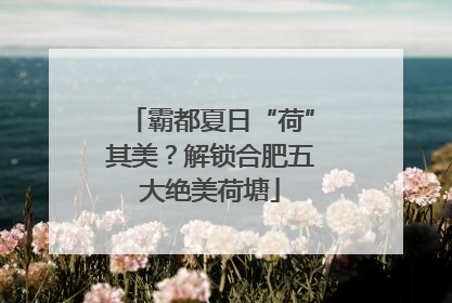 霸都夏日“荷”其美？解锁合肥五大绝美荷塘