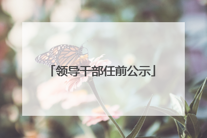 领导干部任前公示