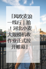 风吹麦浪一线行｜抢！河北小麦大规模机收作业正式拉开帷幕