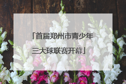 首届郑州市青少年三大球联赛开幕