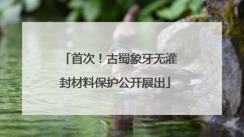 首次！古蜀象牙无灌封材料保护公开展出