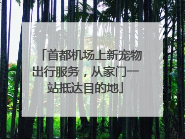 首都机场上新宠物出行服务，从家门一站抵达目的地
