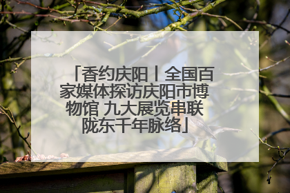 香约庆阳丨全国百家媒体探访庆阳市博物馆 九大展览串联陇东千年脉络