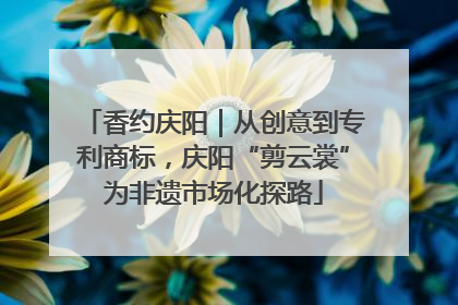 香约庆阳｜从创意到专利商标，庆阳“剪云裳”为非遗市场化探路