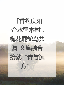 香约庆阳｜合水黑木村：梅花鹿鸵鸟共舞 文旅融合绘就“诗与远方”