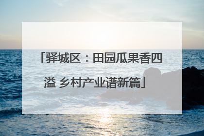 驿城区：田园瓜果香四溢 乡村产业谱新篇