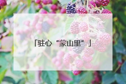 驻心“蒙山里”