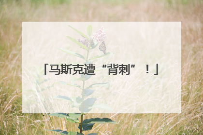 马斯克遭“背刺”！