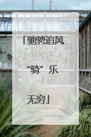 驰骋追风 “骑”乐无穷